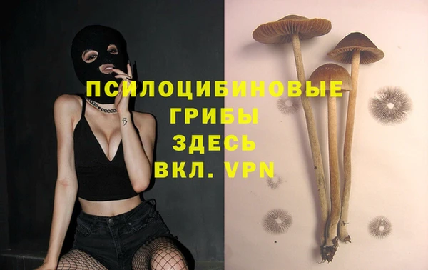 прущая мука Наволоки