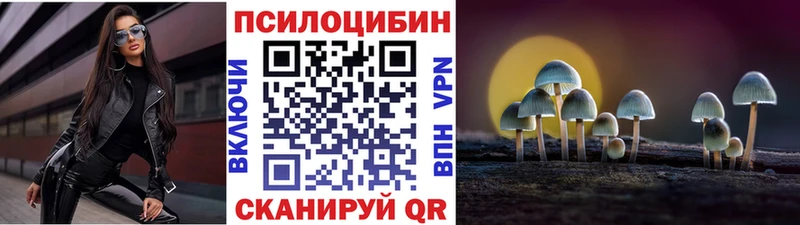 Псилоцибиновые грибы Psilocybine cubensis  Абаза 